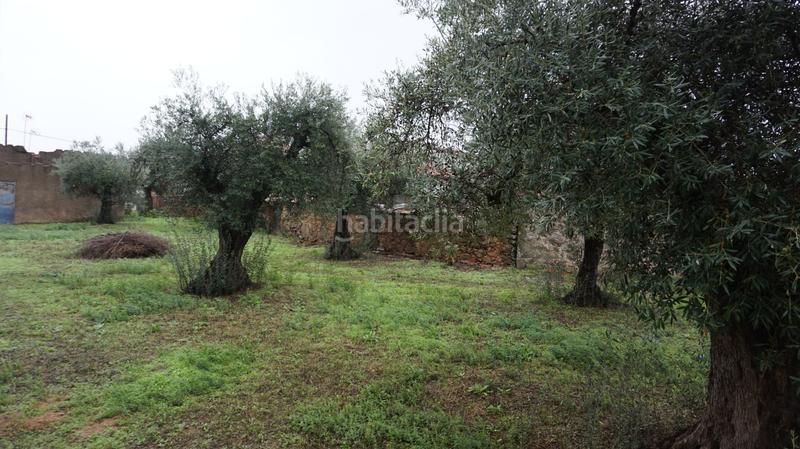 Foto 6c6b63d9-4d8c-4145-a555-a3e4cb25e0d1. Pis a Lanzahíta