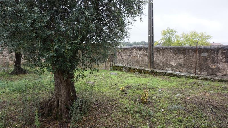 Foto e24602ac-b64d-40d2-b051-4b1d0c9b9637. Pis a Lanzahíta