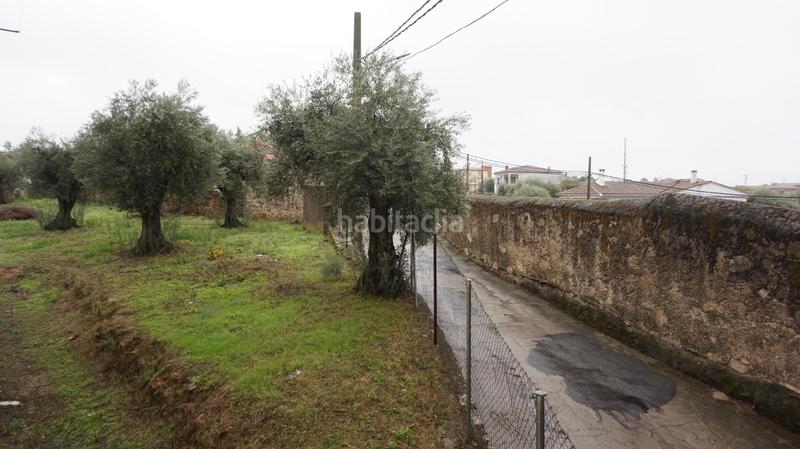 Foto e98dfd0a-c095-46f0-9bd7-f956c71261b8. Pis a Lanzahíta