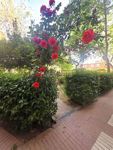 Foto 6047beea-a52e-4399-90d3-a247b1d178e0. Pis amb calefacció a Rejas Madrid