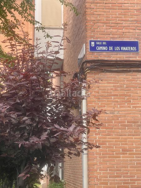 Foto 1e955764-c6ed-4f01-b7e5-1bc2ca48bf11. Piso bas-Vinateros en Vinateros Madrid