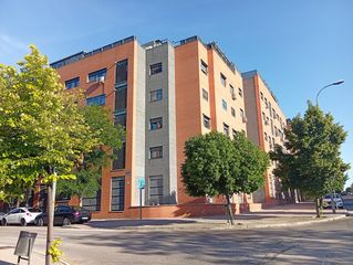 Pis  Calle ana frank. Bas-ana frank