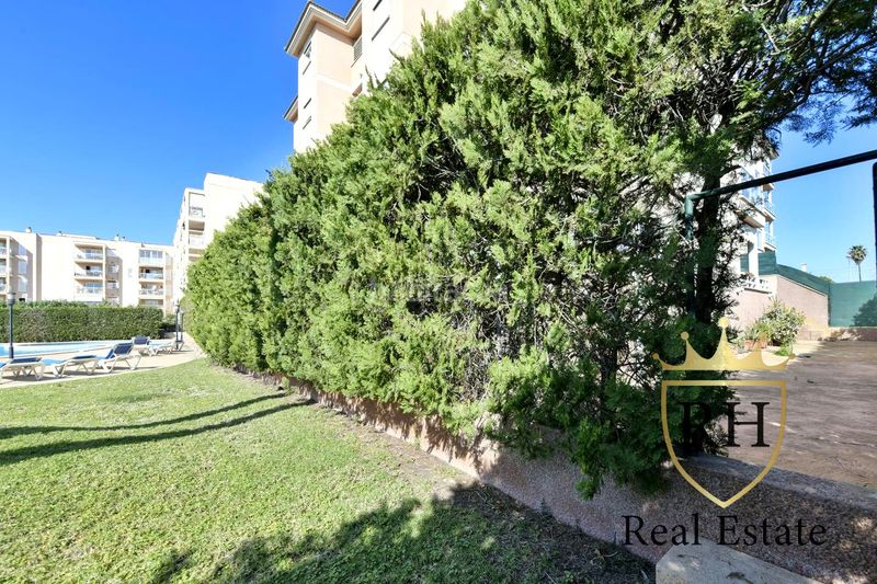 Foto a9aefa83-e7bd-42d8-a94e-c9f1f44cb0c5. Planta baixa amb calefacció aparcament piscina a Llucmajor
