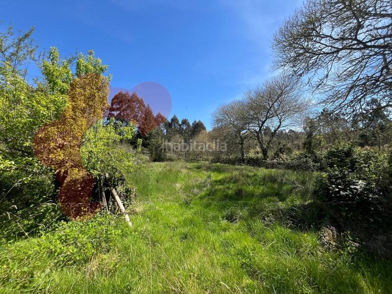 Foto 110c24c6-3188-4a40-bcbe-363522580e00. House in Parroquias del Este Lugo