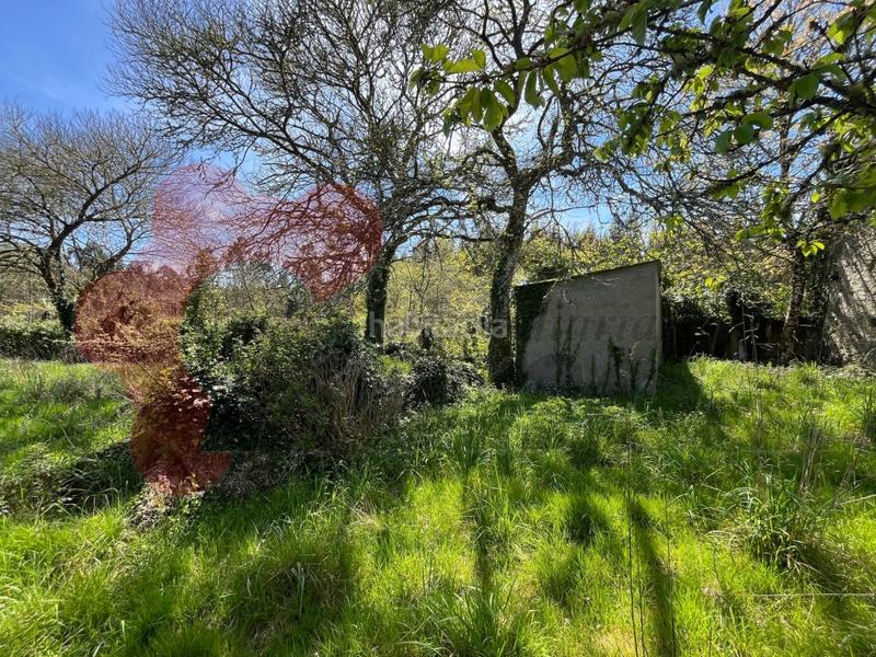 Foto fa35b706-4c55-485c-9b8d-b8b7e294a569. House in Parroquias del Este Lugo