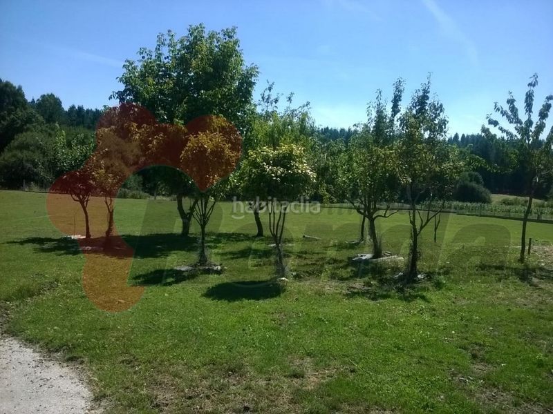 Foto 483a3e71-aafb-4fee-8903-d5548bc13e9e. Casa amb aparcament a Friol