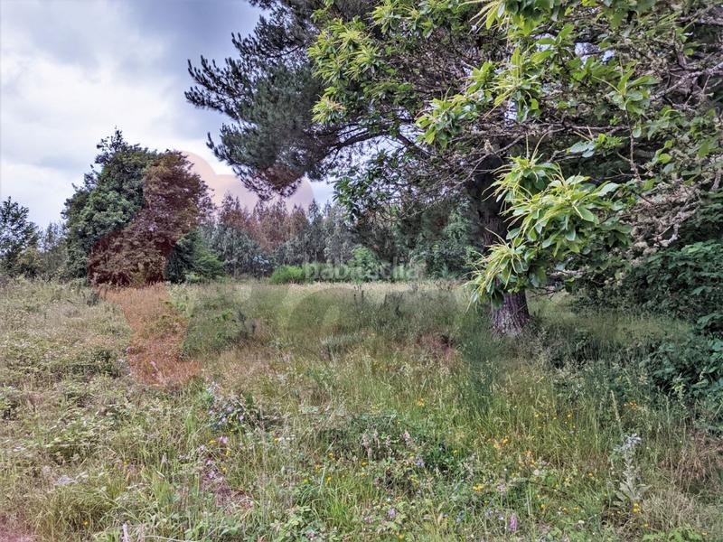 Foto 2f1cd62e-fd51-4665-b447-eb93c9817f59. Casa  de piedra en Outeiro de Rei