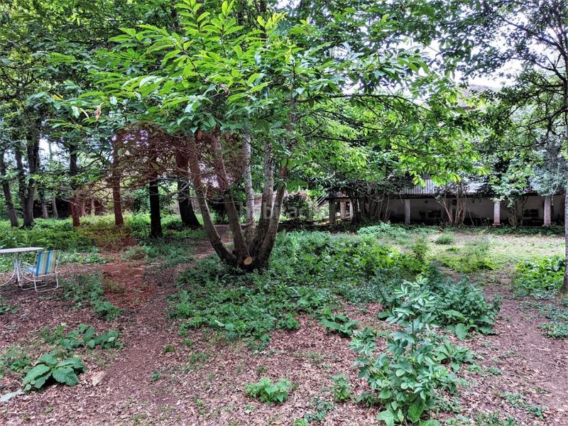 Foto 42c36d34-3c7f-4c41-96ca-7676cffab496. Haus mit parking in Rábade