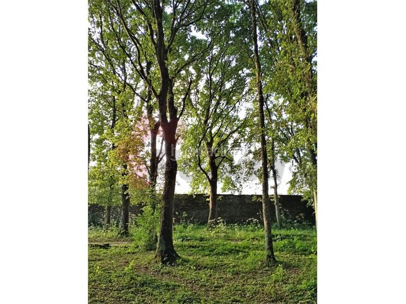 Foto c3d6ddad-5f6f-4cb8-a366-4bca100a1542. Haus mit parking in Rábade