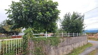 Terreno residencial en Bergondo. Finca edificable en bergondo en la zona de cortiñan, a poco más