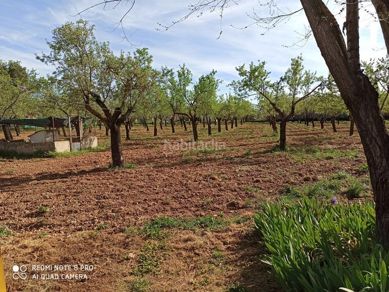 Foto 8a656287-9504-45f9-b364-82a112aa1797. Masia amb aparcament a Miguelturra