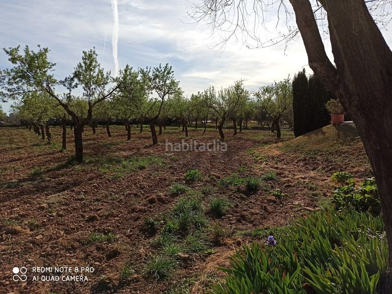 Foto af3f1c9b-cc0e-4bef-875e-ec41dbca2fe3. Masia amb aparcament a Miguelturra