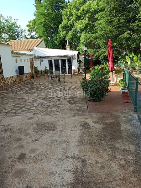 Foto 79bd8c01-3a16-4c94-a9a1-4c4f1d936cdd. Xalet amb calefacció aparcament piscina a La Poblachuela Ciudad Real
