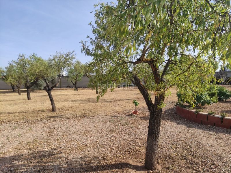 Foto 23e8f70b-d452-47d6-b682-ce337b273435. Chalet en Miguelturra
