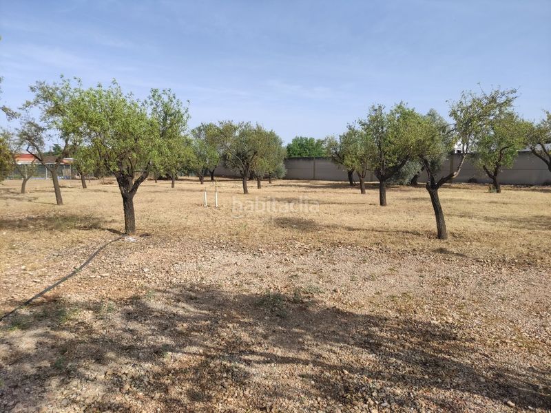 Foto 6bd65af7-b5ea-4ed8-901d-ef30d1d6b627. Chalet en Miguelturra