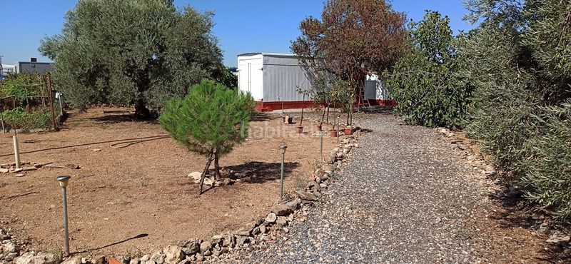 Foto d8c72833-9293-4692-84db-7b84df4caf0e. Chalet en Miguelturra
