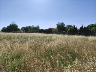 Terreny residencial a Área Rual - Valverde - Las Casas. Parcela de 2.500m
excelente ubicación a 5km de ciudad real por
