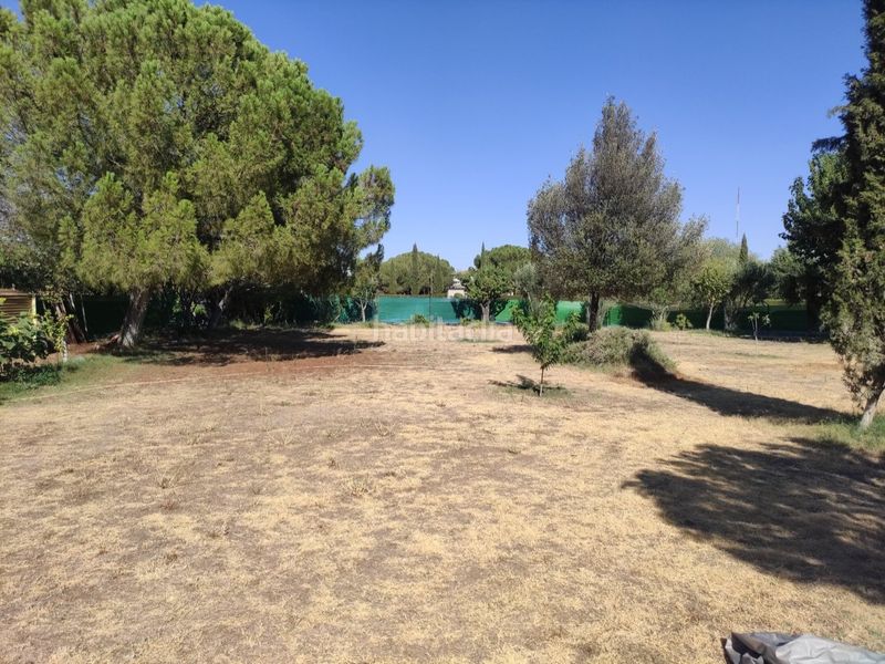 Foto de72f1aa-7041-4b77-bbb9-f2c5720fa21c. Xalet amb calefacció aparcament piscina a Miguelturra