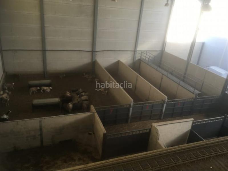 Foto 0589633a-6073-4468-b947-c6627d401f0b. Fabrikhalle in Valdeastillas - Fuentezuelas Jaén