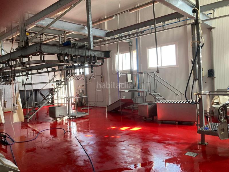 Foto b1226f5e-26bf-454a-89f8-e68c0923cec5. Fabrikhalle in Valdeastillas - Fuentezuelas Jaén