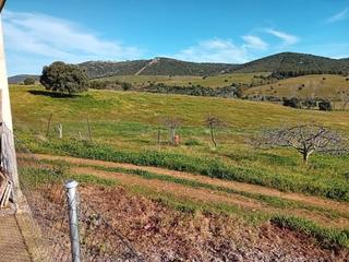 Terreny residencial a Puebla de Don Rodrigo. Finca de agricultura y ganaderia ciudad real