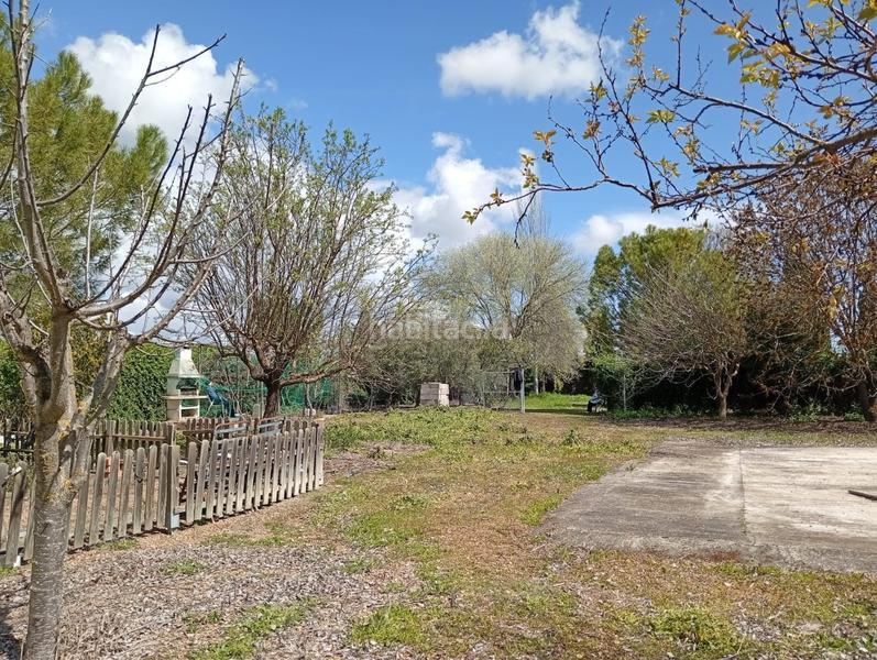 Foto 04f63744-10c9-4529-a036-eaf3b0c3e0bf. Terrain résidentiel dans Área Rual - Valverde - Las Casas Ciudad Real