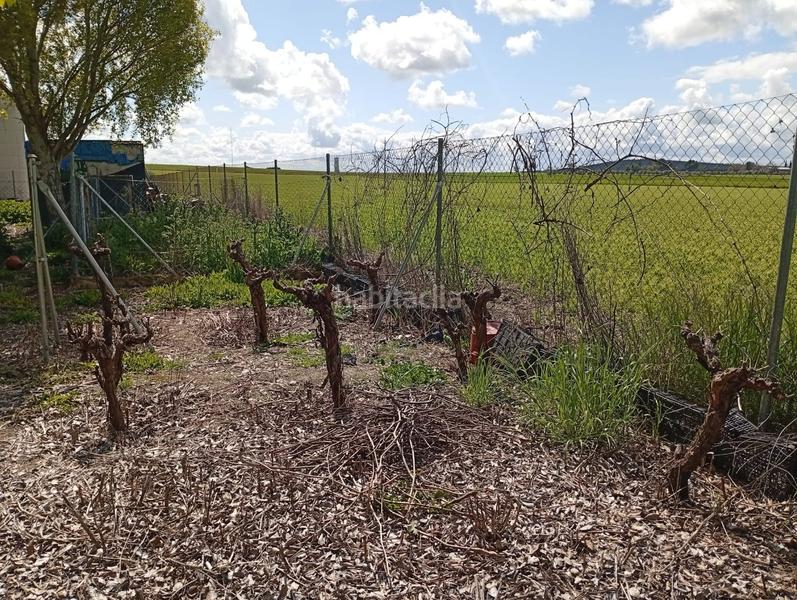 Foto 1092d68f-c96c-46a9-8b99-f62532db9d6c. Terrain résidentiel dans Área Rual - Valverde - Las Casas Ciudad Real
