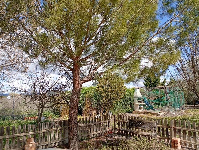 Foto 25ae8495-0fe0-4915-8e33-62eff4bb7691. Terrain résidentiel dans Área Rual - Valverde - Las Casas Ciudad Real