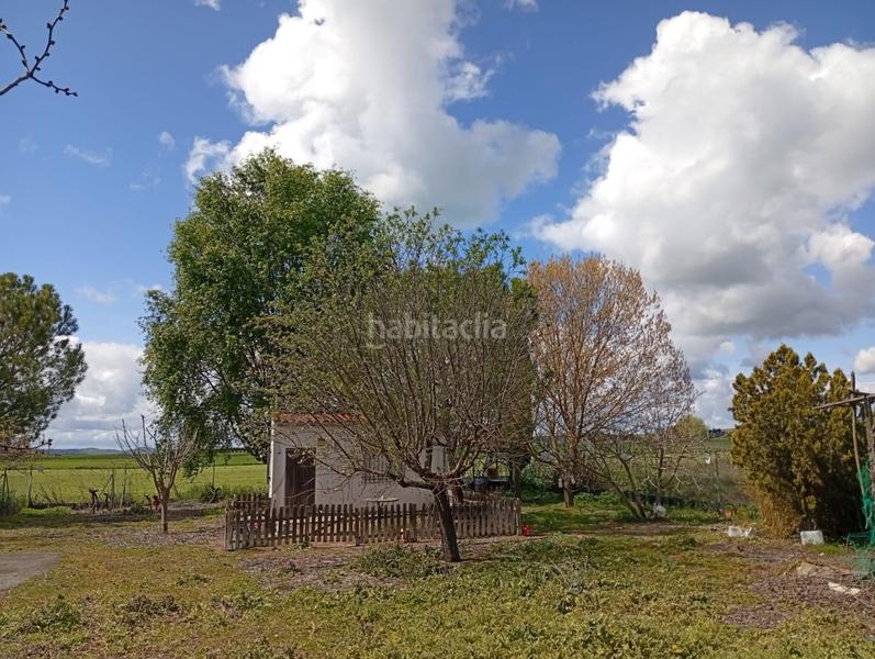 Foto 2f68e59b-a300-46d4-a416-56949aa5c637. Terrain résidentiel dans Área Rual - Valverde - Las Casas Ciudad Real