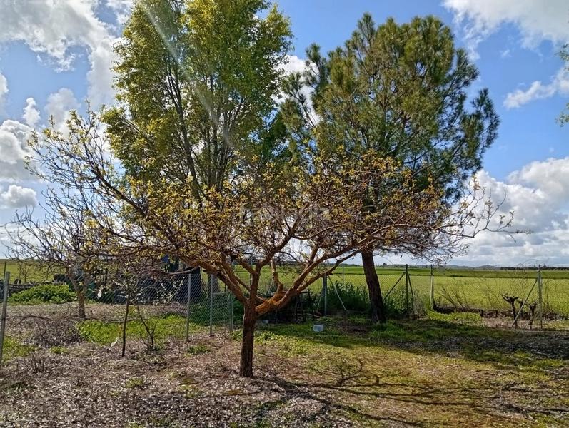 Foto 33f5e5d9-b431-445b-b3d1-cc00817b3d91. Terrain résidentiel dans Área Rual - Valverde - Las Casas Ciudad Real