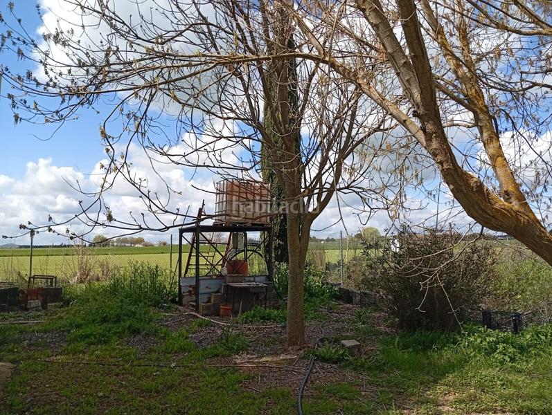 Foto 43f2b987-8489-43c5-9335-0fd5b68d28cd. Terrain résidentiel dans Área Rual - Valverde - Las Casas Ciudad Real