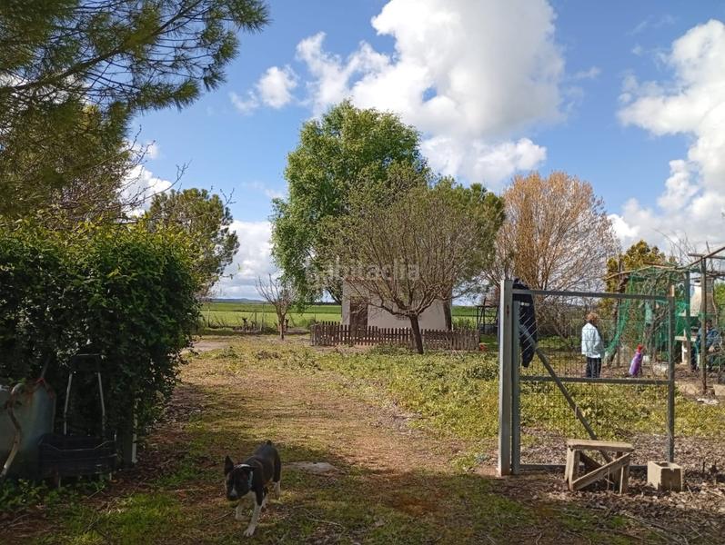 Foto 4cc26238-ec6e-4094-995e-0c2366d94041. Terrain résidentiel dans Área Rual - Valverde - Las Casas Ciudad Real