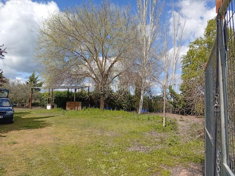 Foto 596d46c0-b991-4b81-aa55-c384662b98bd. Terrain résidentiel dans Área Rual - Valverde - Las Casas Ciudad Real