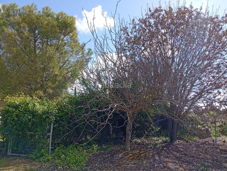 Foto 69c6a671-f32e-47cc-815c-bcad74be6b02. Terrain résidentiel dans Área Rual - Valverde - Las Casas Ciudad Real