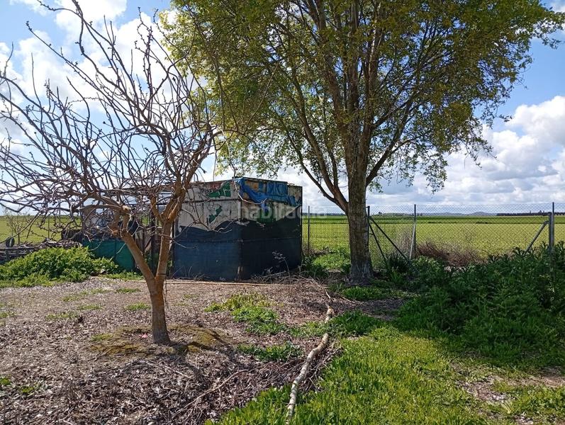 Foto 6b5e49f7-a63b-41eb-9165-f2f1c6daa5e6. Terrain résidentiel dans Área Rual - Valverde - Las Casas Ciudad Real
