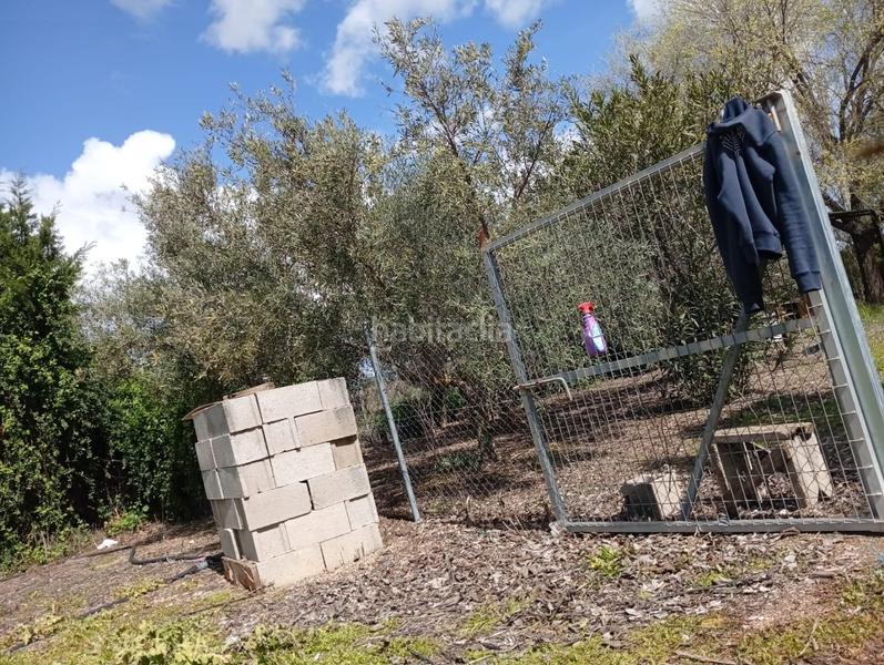 Foto afe4e0e8-ef32-4474-9d88-e5c032e07ad1. Terrain résidentiel dans Área Rual - Valverde - Las Casas Ciudad Real