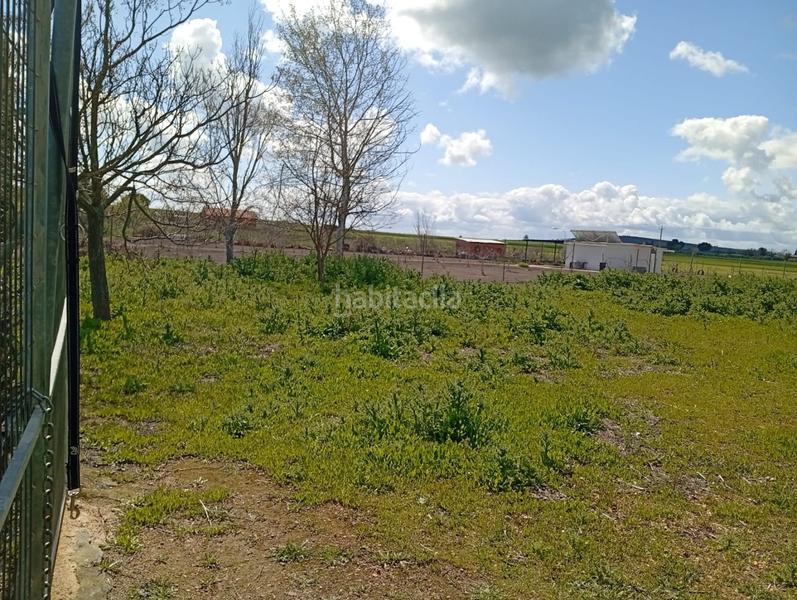 Foto b63ebeac-5beb-48a7-9462-5db06e6f785d. Terrain résidentiel dans Área Rual - Valverde - Las Casas Ciudad Real