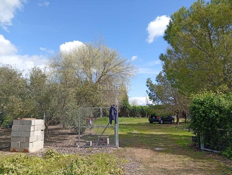 Foto bb8369bf-e7de-4868-88d4-9005eea8f3c7. Terrain résidentiel dans Área Rual - Valverde - Las Casas Ciudad Real