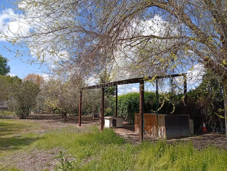 Foto c50ea806-75c9-49f5-86e0-7f785efc1d03. Terrain résidentiel dans Área Rual - Valverde - Las Casas Ciudad Real