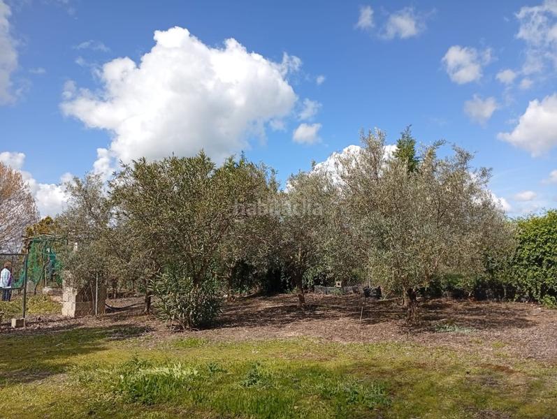 Foto cb35089e-c4ae-47d7-a16e-3f9851757e6d. Terrain résidentiel dans Área Rual - Valverde - Las Casas Ciudad Real