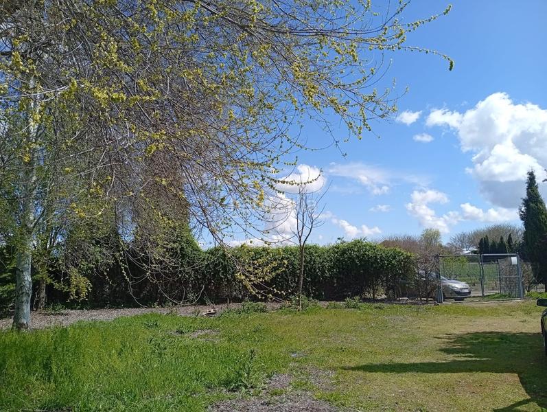 Foto d55e7b18-5547-4799-a563-a3fda91fd272. Terrain résidentiel dans Área Rual - Valverde - Las Casas Ciudad Real