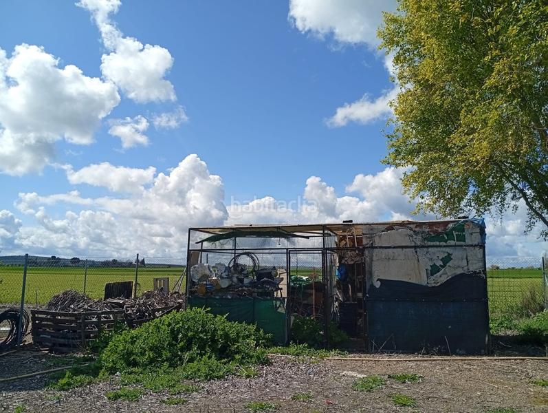 Foto daba48ee-bfd1-4312-9ad7-9a94e4d4df1e. Terrain résidentiel dans Área Rual - Valverde - Las Casas Ciudad Real