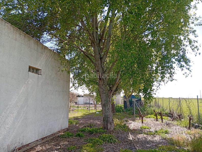 Foto de0de4c6-7805-4c0d-95bf-d74cb163c9e3. Terrain résidentiel dans Área Rual - Valverde - Las Casas Ciudad Real