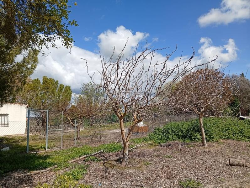 Foto e49b49a0-1f89-407e-a342-cda78692d7ce. Terrain résidentiel dans Área Rual - Valverde - Las Casas Ciudad Real