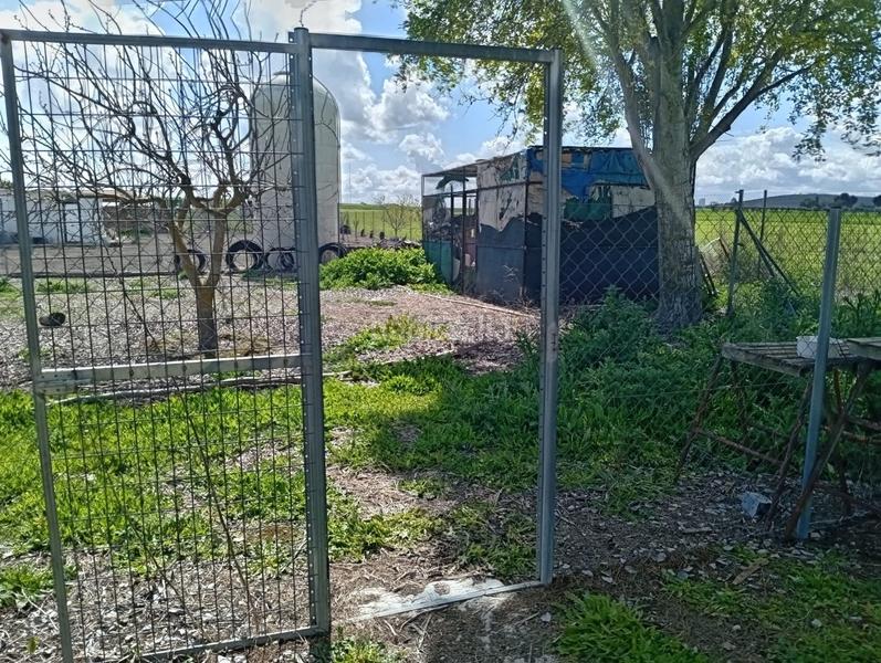 Foto f5179a5b-7182-4c66-bb56-8c838d7edde0. Terrain résidentiel dans Área Rual - Valverde - Las Casas Ciudad Real
