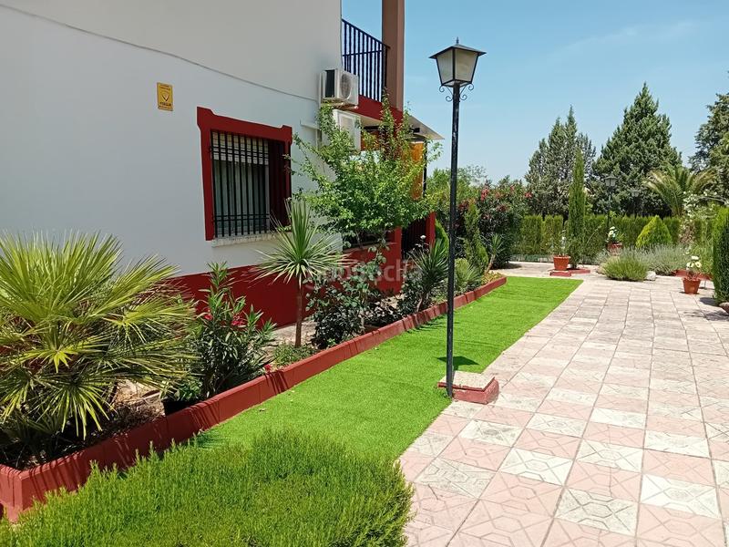 Foto 80bf6775-c0ca-44c0-bd97-b6082f9d4585. Chalet  .dispone de 6 dormitorios, 3 baños, piscina, zona de cesped, pozo... todo legalizado. en Pozuelo de Calatrava