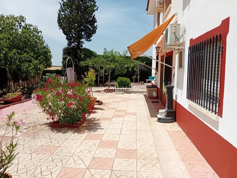 Foto 951e0527-88eb-4fe7-80e6-be03f1f50f62. Chalet  .dispone de 6 dormitorios, 3 baños, piscina, zona de cesped, pozo... todo legalizado. en Pozuelo de Calatrava