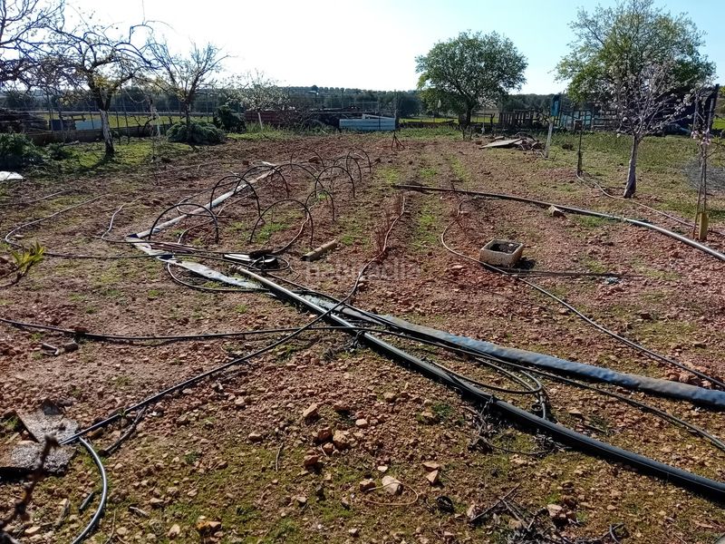 Foto 0b07d686-3ac8-46fd-9324-32052427e8f6. Xalet amb aparcament a Bolaños de Calatrava
