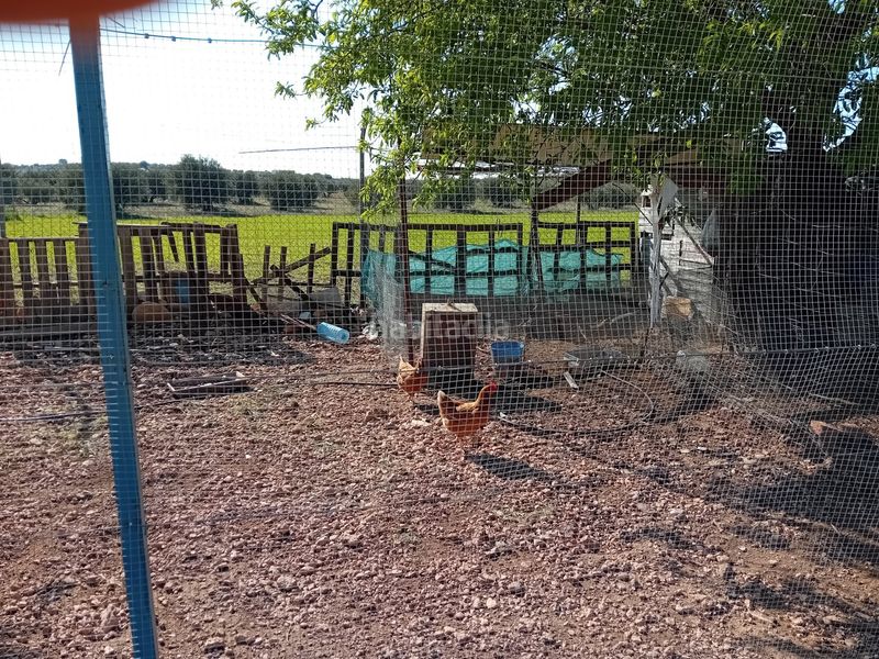 Foto 5a2b9a46-c466-46e8-b5bf-8a60075a7cb2. Xalet amb aparcament a Bolaños de Calatrava