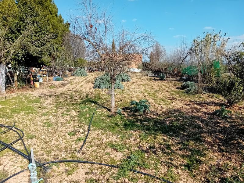 Foto 5cf5bcfa-2db4-4076-9e68-fba2a5442074. Xalet amb aparcament a Bolaños de Calatrava
